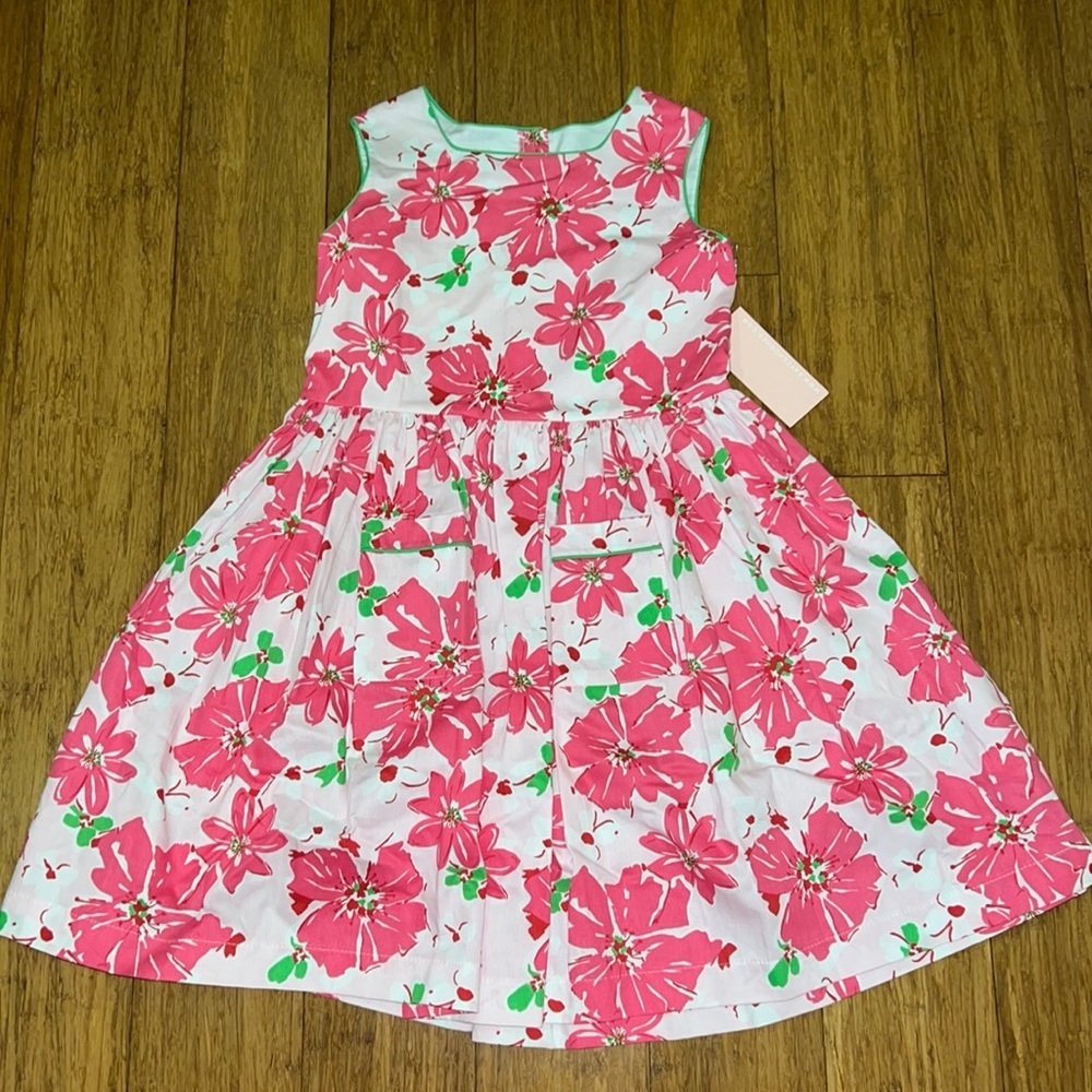 Kayce Hughes Floral girls dress. Pink & white flowers with green accents NWT 8